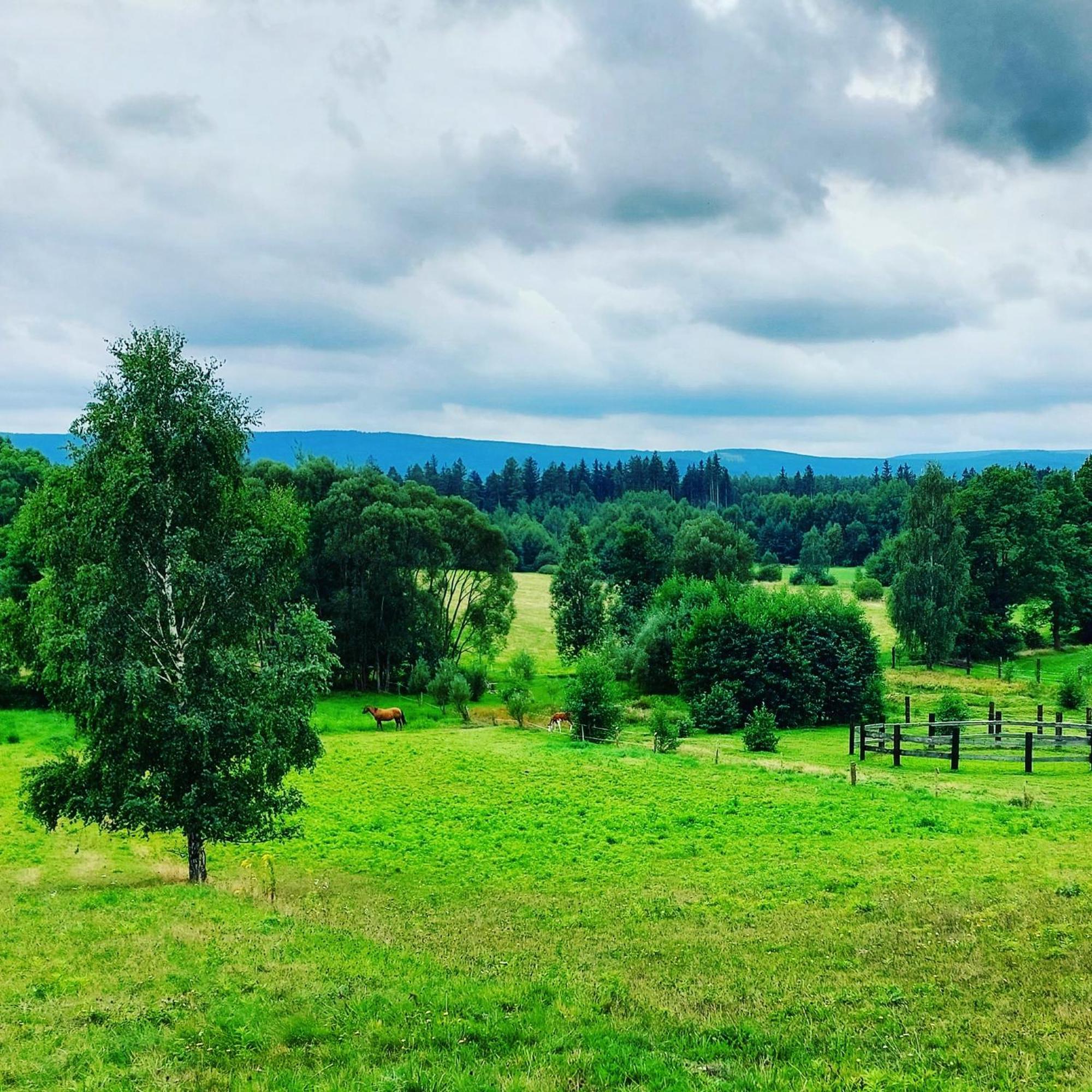 Maja Pokoje Z Widokiem Kameralna Agroturystyka Na Pogorzu Izerskim Z Sauna I Jacuzzi (Adults Only) Mirsk Extérieur photo