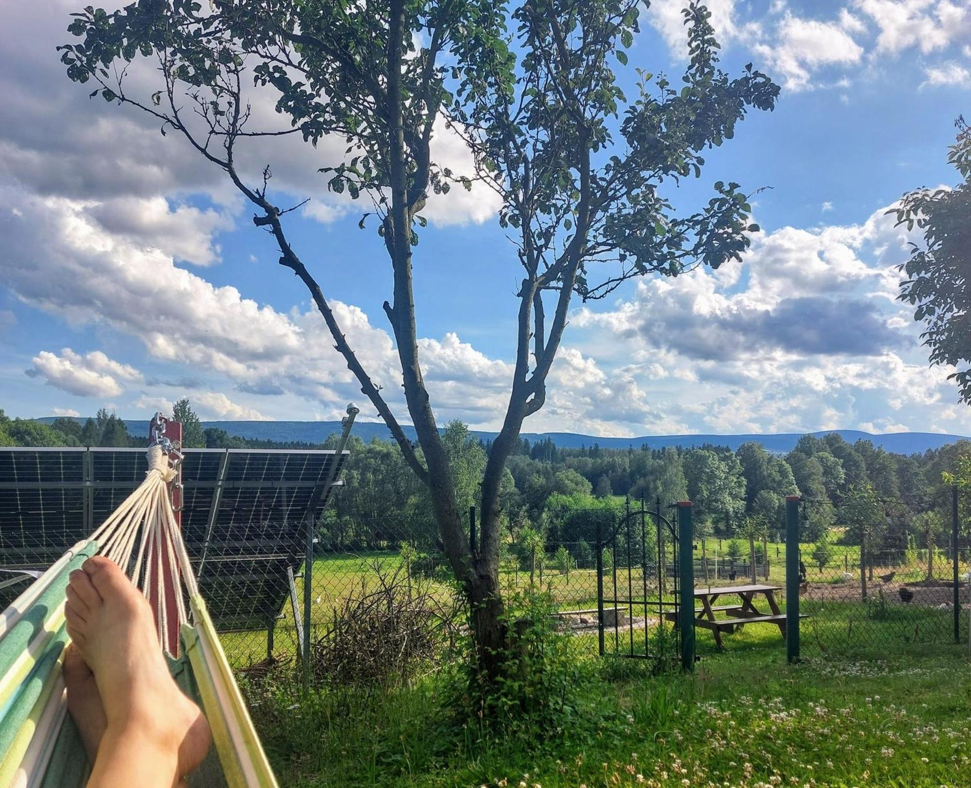 Maja Pokoje Z Widokiem Kameralna Agroturystyka Na Pogorzu Izerskim Z Sauna I Jacuzzi (Adults Only) Mirsk Extérieur photo